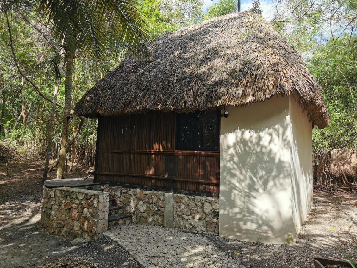 Mercedes Bacalar Buitenkant foto